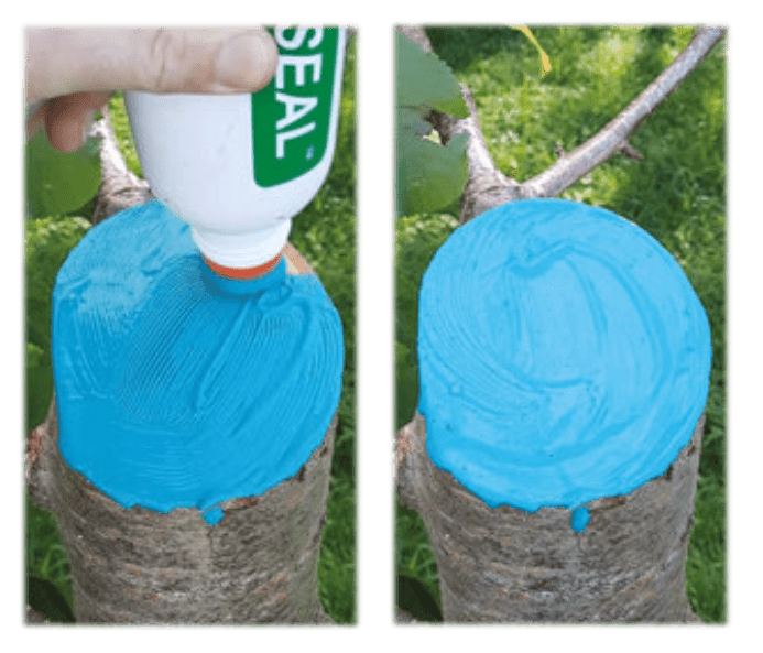 2Greenseal application 1 - Red Garden and Farm Supplies