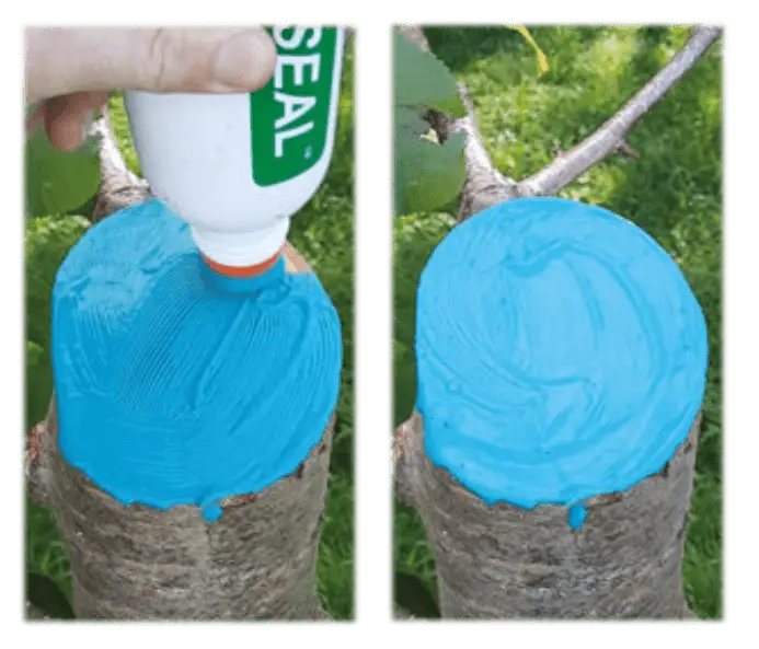 2Greenseal application 1 - Red Garden and Farm Supplies