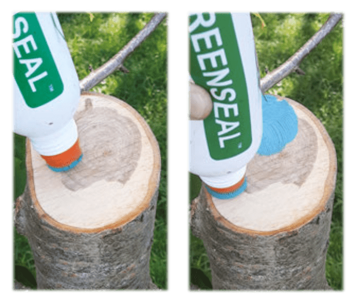 Greenseal application 1 - Red Garden and Farm Supplies