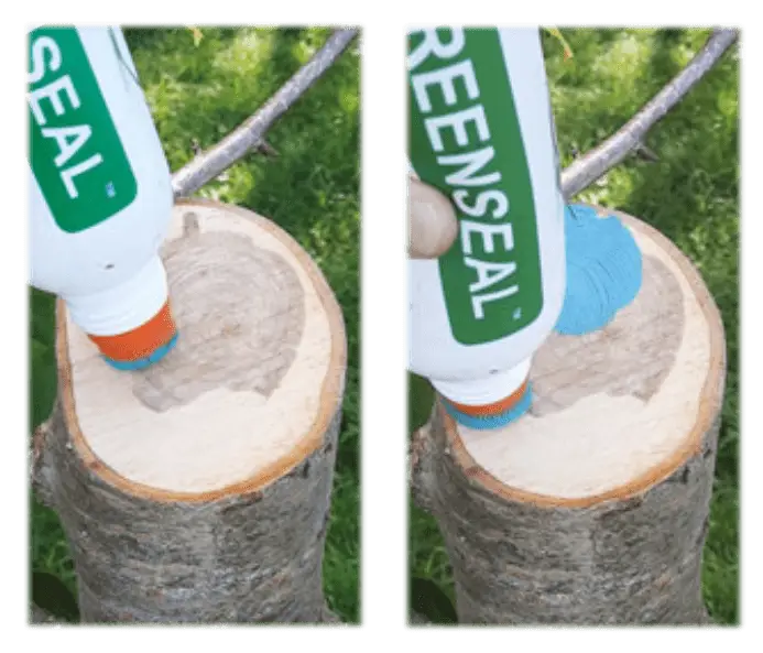 Greenseal application 1 - Red Garden and Farm Supplies
