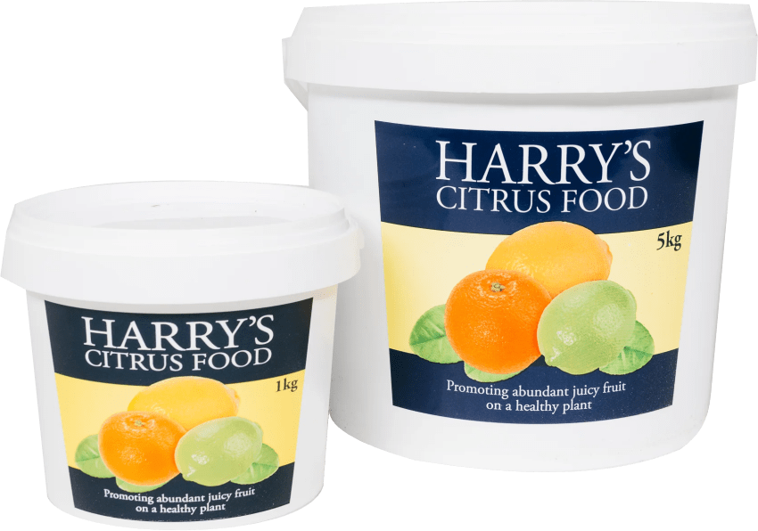 Harrys citrus feed red hill garden and farm supplies - Red Garden and Farm Supplies