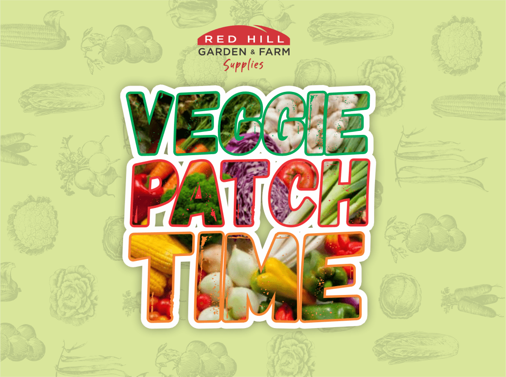 Veggie Patch TIme 2 - Red Garden and Farm Supplies